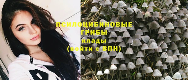 винт Богородицк